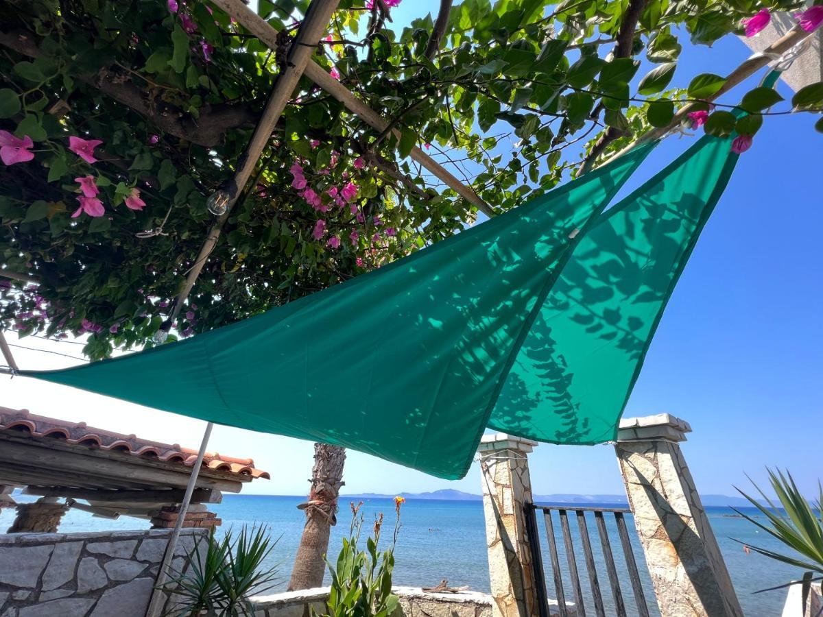 Villa Rena In Front Of The Sea อาร์คูดี ภายนอก รูปภาพ